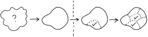 shape-up-1-300x76.png